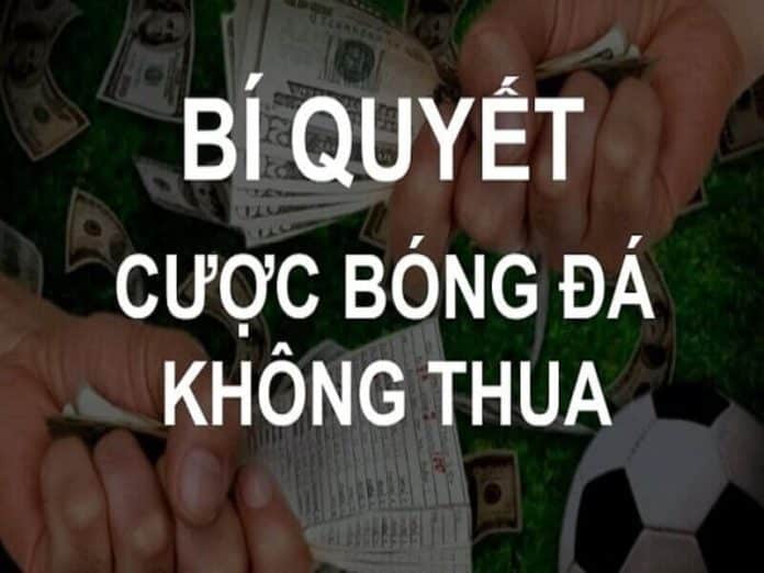 Cá độ bóng đá là gì?