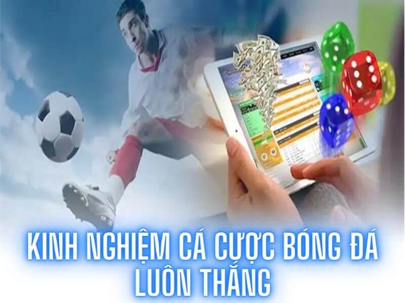 Cá độ bóng đá là gì?