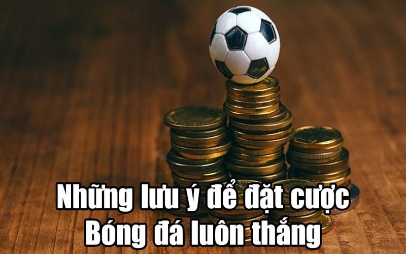 cá độ bóng đá