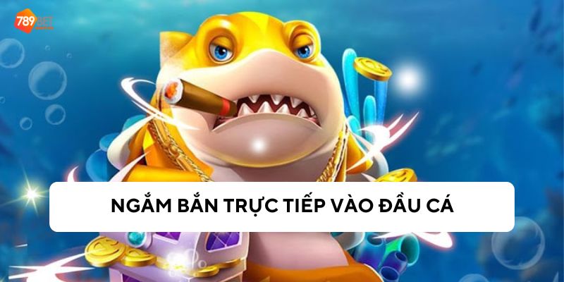 Bắn trực tiếp vào đầu cá để hạ gục nhiều cá nhất