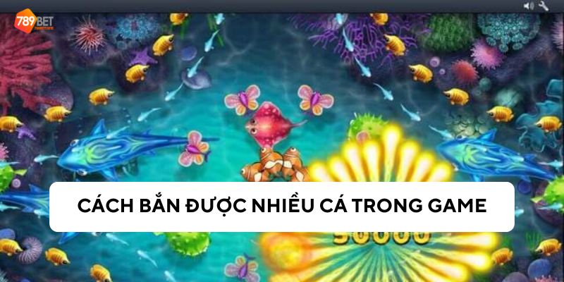 Những cách bắn được nhiều cá trong trò chơi