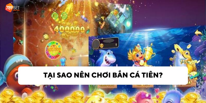 Lý do nên chơi bắn cá tiên