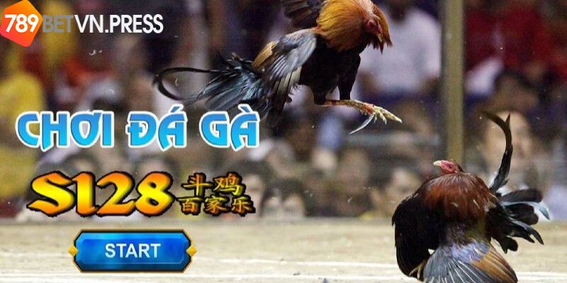 Giới thiệu đôi nét về sảnh game đá gà tại s128